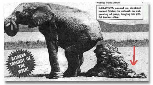 elephant.jpg (32045 bytes)