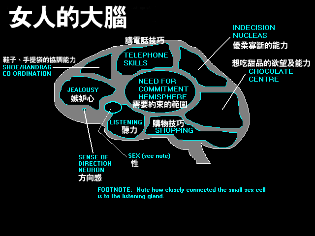fbrain1.gif (17931 bytes)